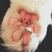 Darya Perevertaylo's photo
