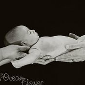 Ariane Taylor's photo