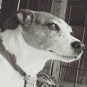 Silke Geissners foto