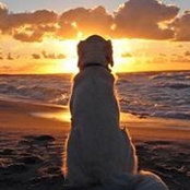 Richa Srivastava's photo