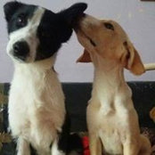 Rebecka Bernstone's photo