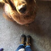 Patty Herzog's photo