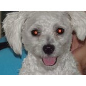 Susan Loveridge's photo