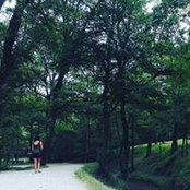 Eli Guvi's photo