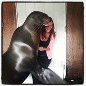 Foto von Meredith Leigh
