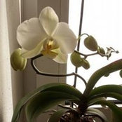 Walter Msr's photo