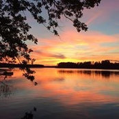 Foto von Marsha Green