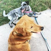 Mariah Engel's photo
