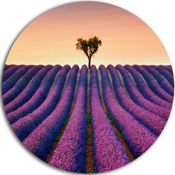 Lavender And Lonely Tree Uphill, Landscape Disc Metal Wall Art, 23"