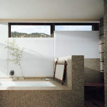 Hunter Douglas - Duette® Honeycomb Shades