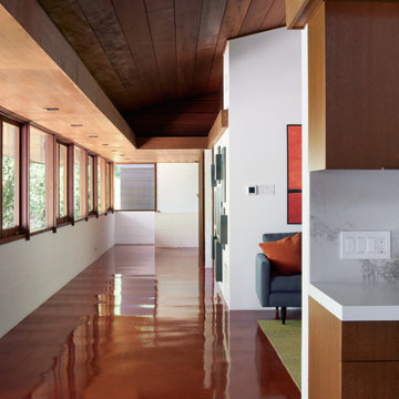 Olof Dahlstrand Remodel by Klopf