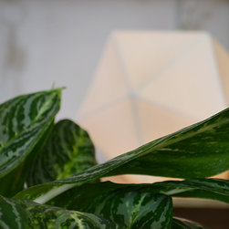 Cultivate Design Co - Porcelain Geo Lamp - ランプ