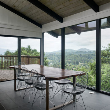 Linked MCM Remodel/Addition by Klopf Architecture