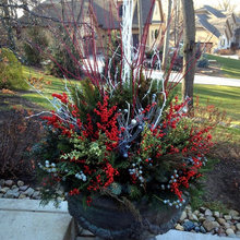 Container Gardening