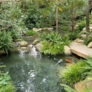 Garden Ponds
