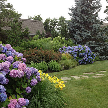Hamptons Hydrangeas