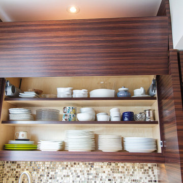 Contemporary Kitchen Renovation
