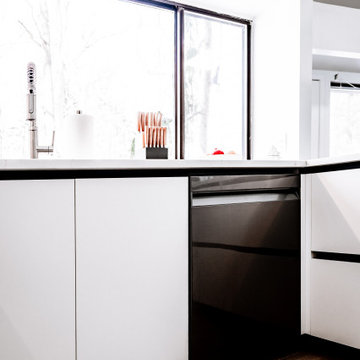 Swedish-Style Kitchen in Michigan