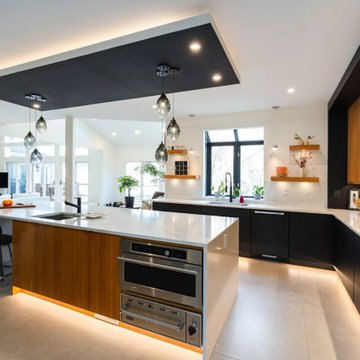 Full House Renovation- Extreme Black