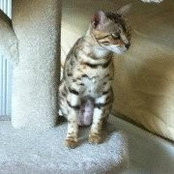 Linda Haist's photo