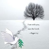 Paula Passalacqua's photo