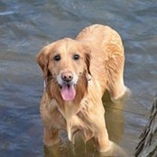 Debby Watterson's photo