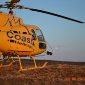 Brian Sigler's photo