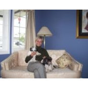 Lynn Law's photo