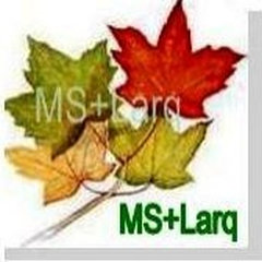 MS+Larq Landscape Design Build