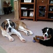 Kim Bilger's photo