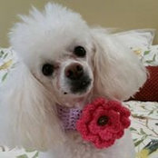 Mary Hall's photo