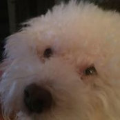 Bert Lopez's photo