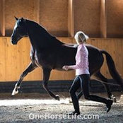 Anna Marciniak's photo