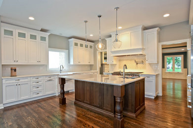 Kitchen - transitional kitchen idea in Chicago