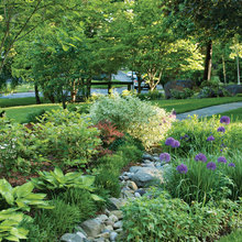 stream in front yard