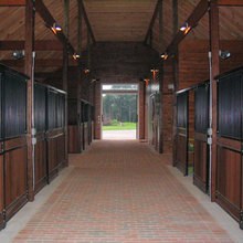 Equestrian themes