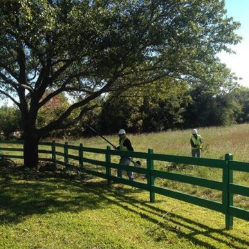 Tree Service In Austin - Certified Arbor Care (512) 671-8733