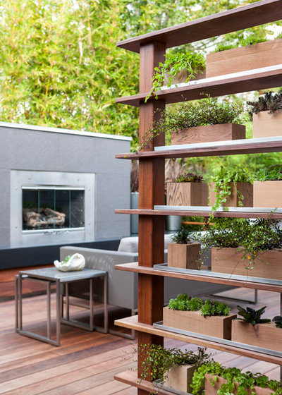 Immergrüne Hinterhofidylle mit Durchblick in Seattle