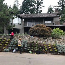 Drought Tolerant Slope