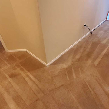 Carpet Cleaning a House Which Has Not Been Steam Cleaned for 8 Years Located in