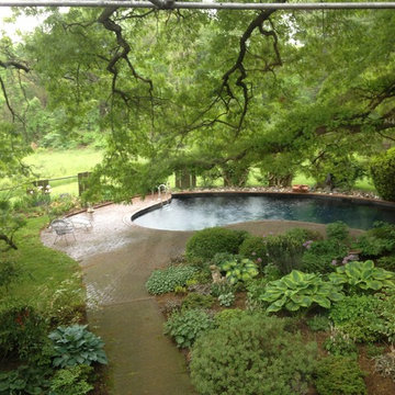 Perennial Shade Garden