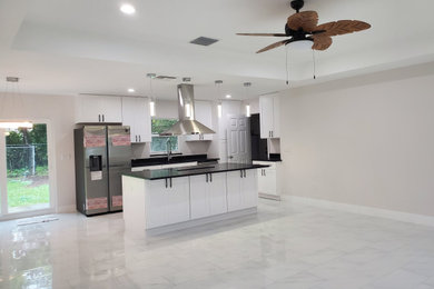 Inspiration for a modern home design remodel in Tampa