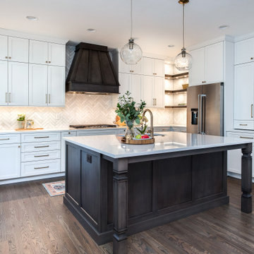 Highlands Ranch Sleek Transitional Kitchen