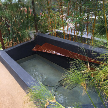 Echo Park/Silverlake Contemporary Backyard