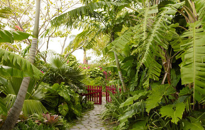 How to Bring Your Subtropical Garden to Life