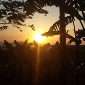 Ronald Mukasa's photo