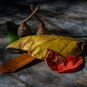 Denise Burns's photo