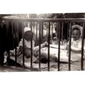 Patti Landreth Bowman's photo