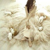 Libre Comme le Vent's photo