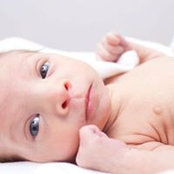 Bruce Gapper's photo